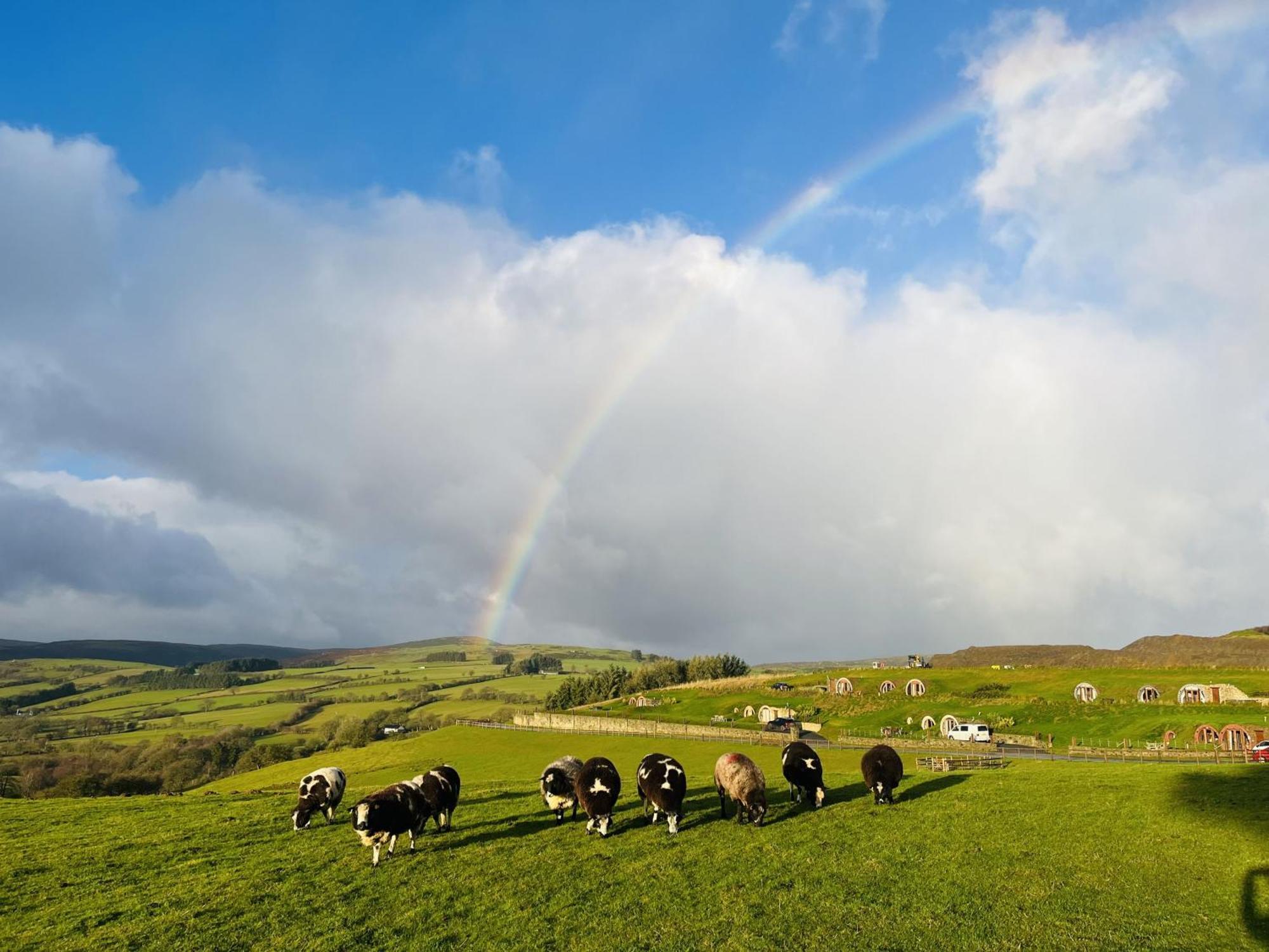 Shepherds View Рейъдър Екстериор снимка